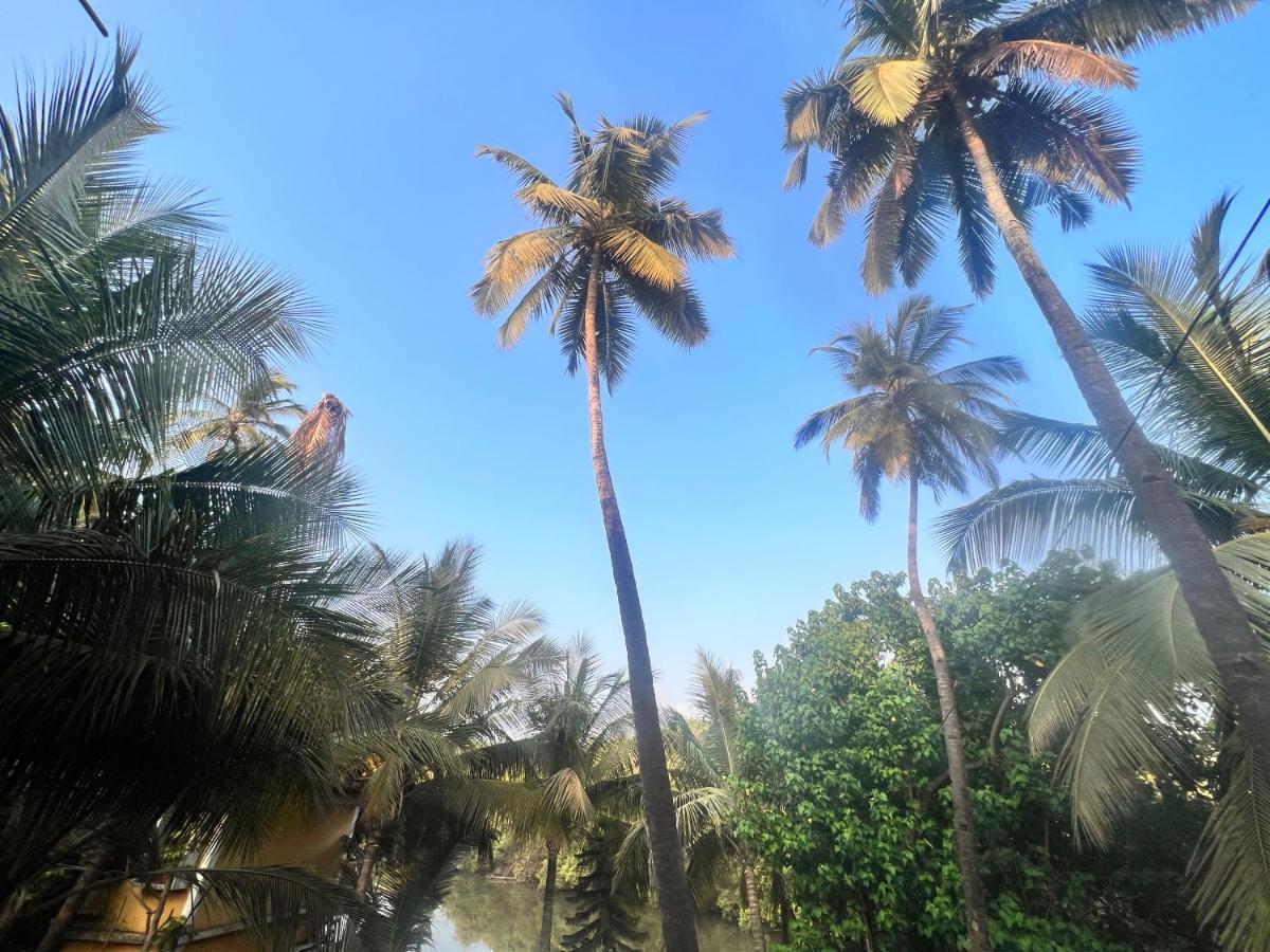 Kyel Villa Guest House Arambol Ngoại thất bức ảnh